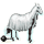 riding pegasus ghost 