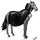 riding unicorn vampire