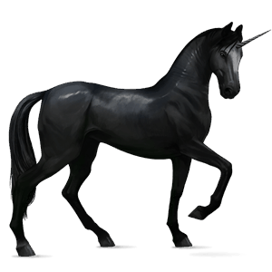riding unicorn arabian horse fleabitten gray