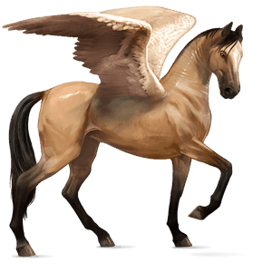 riding pegasus arabian horse dun