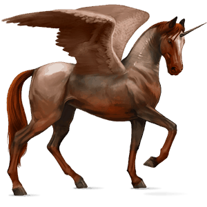 winged riding unicorn arabian horse dun