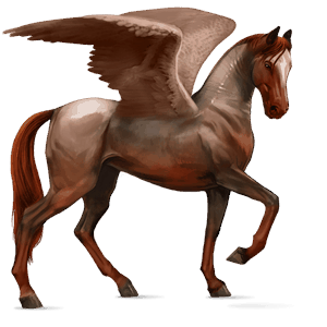 riding pegasus peruvian paso dun