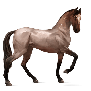 riding horse thoroughbred liver chestnut