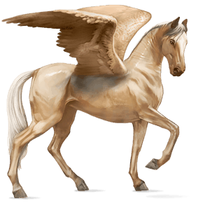 riding pegasus thoroughbred liver chestnut