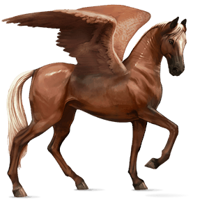 riding pegasus arabian horse flaxen liver chestnut 
