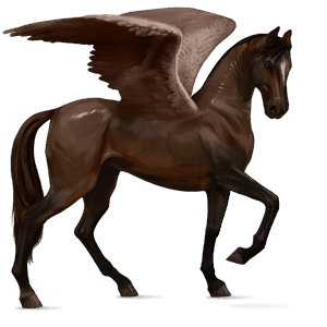 riding pegasus peruvian paso dark bay