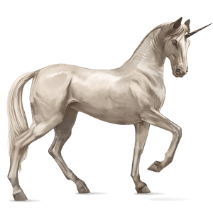 riding unicorn marwari dark bay