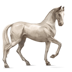 riding horse thoroughbred mouse gray