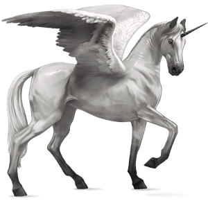 winged riding unicorn marwari light gray