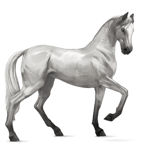 riding horse thoroughbred light gray