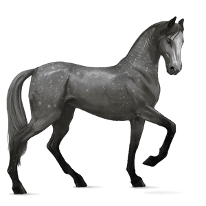 riding horse thoroughbred chestnut