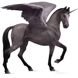 winged riding unicorn misaki dark bay