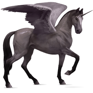 winged riding unicorn brumby bay