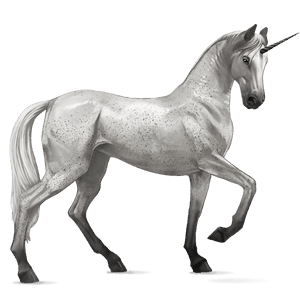 riding unicorn barb fleabitten gray