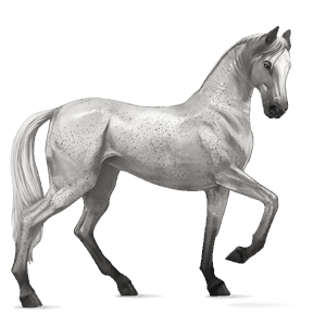 riding horse mustang few spots