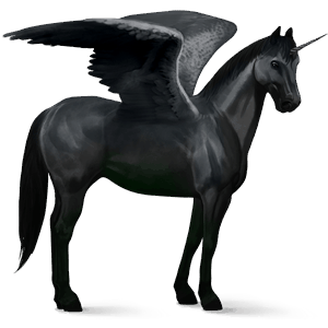 winged riding unicorn black