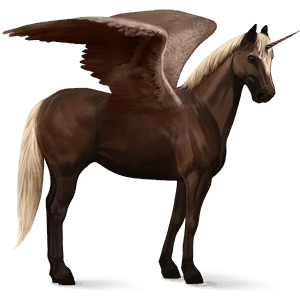 winged riding unicorn black