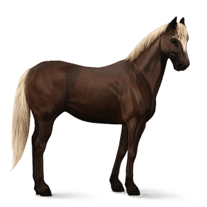 riding horse quarter horse flaxen liver chestnut 