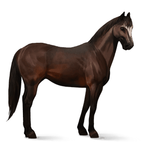 riding horse mustang liver chestnut
