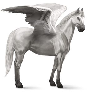 riding pegasus thoroughbred cherry bay