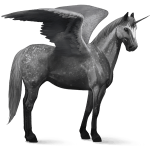 winged riding unicorn arabian horse dapple gray