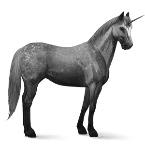 riding unicorn kwpn dapple gray