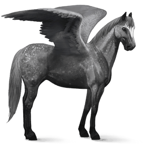 riding pegasus thoroughbred dapple gray