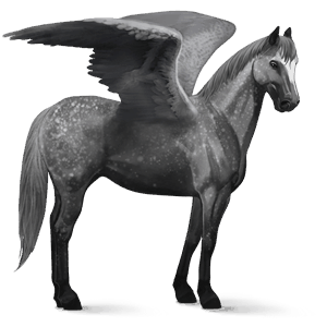 riding pegasus dapple gray