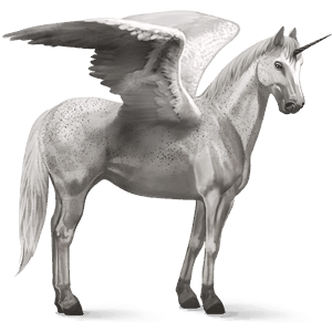 winged riding unicorn dapple gray tobiano