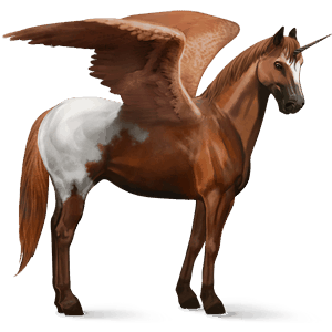 winged riding unicorn chestnut blanket 