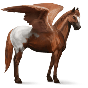 riding pegasus thoroughbred dark bay