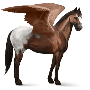 riding pegasus thoroughbred cherry bay