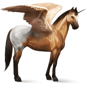 winged riding unicorn appaloosa dun blanket 