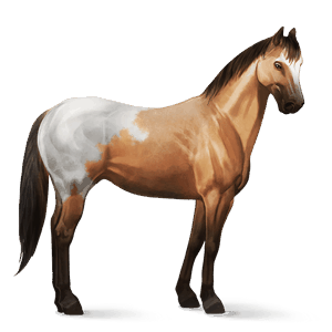 riding horse quarter horse flaxen chestnut 