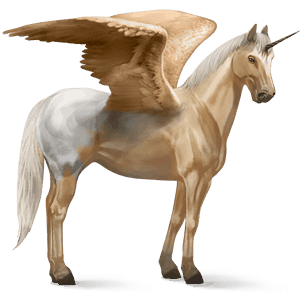 winged riding unicorn appaloosa palomino blanket 