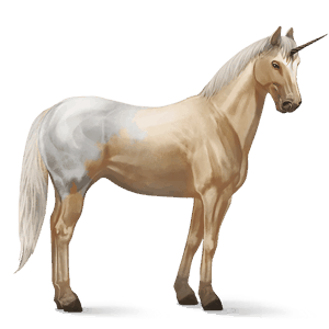 riding unicorn appaloosa palomino blanket 