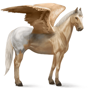 riding pegasus paint horse palomino tobiano