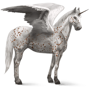 winged riding unicorn chestnut leopard 