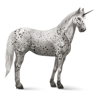 riding unicorn appaloosa black leopard 