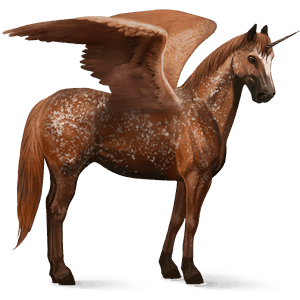 winged riding unicorn appaloosa chestnut snowflake 