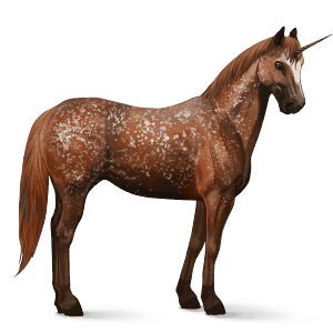 riding unicorn appaloosa chestnut snowflake 