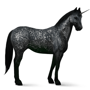 riding unicorn knabstrupper black snowflake 