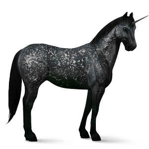 riding unicorn appaloosa black spotted blanket 