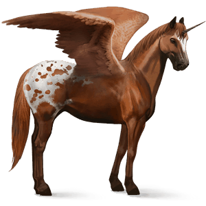 winged riding unicorn paint horse chestnut tovero 