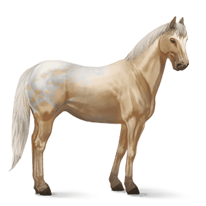 riding horse mustang few spots