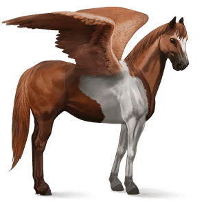 riding pegasus paint horse chestnut tovero 
