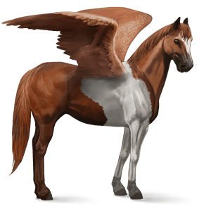 riding pegasus paint horse chestnut tobiano