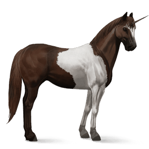 riding unicorn paint horse liver chestnut tobiano