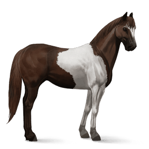 riding horse paint horse chestnut tobiano
