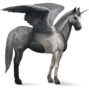 winged riding unicorn dapple gray tobiano